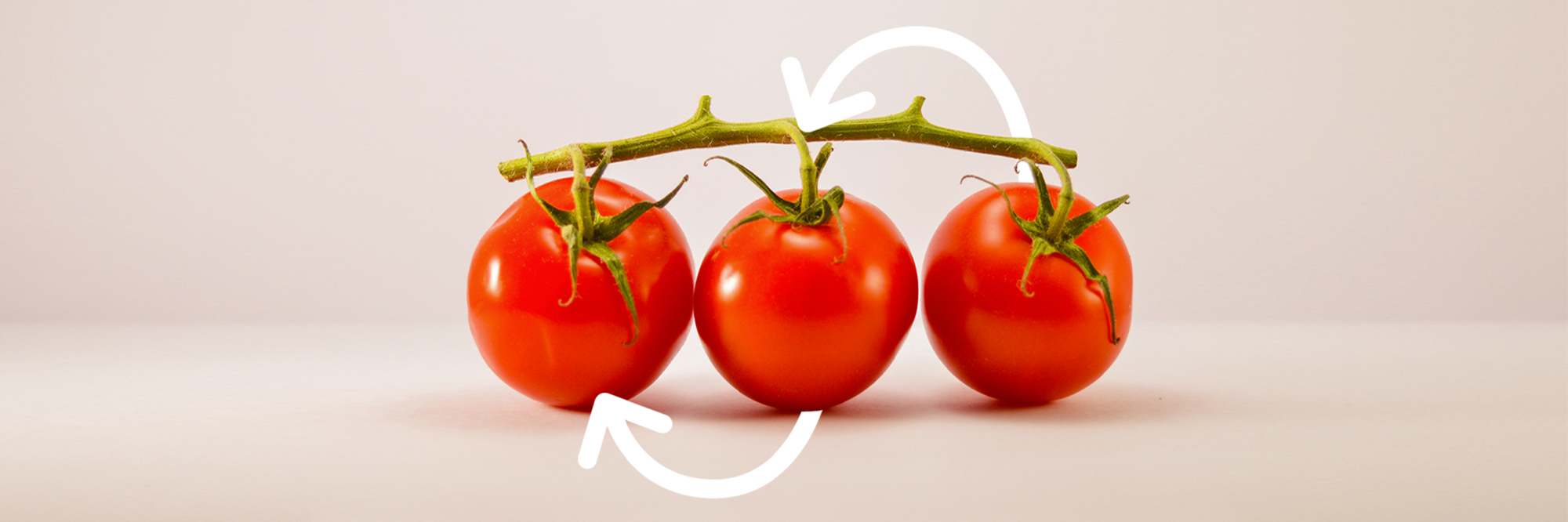 Repositioning Tomato Masters