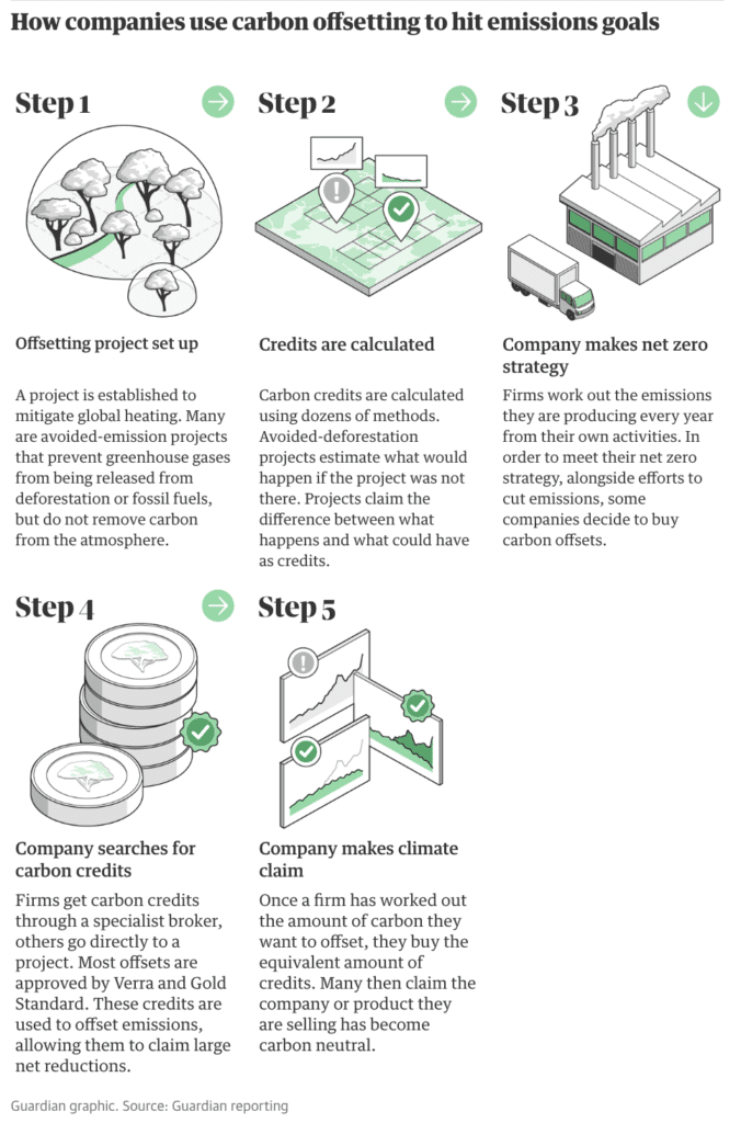 How companies use carbon offsetting to hit CO2 emissions goals