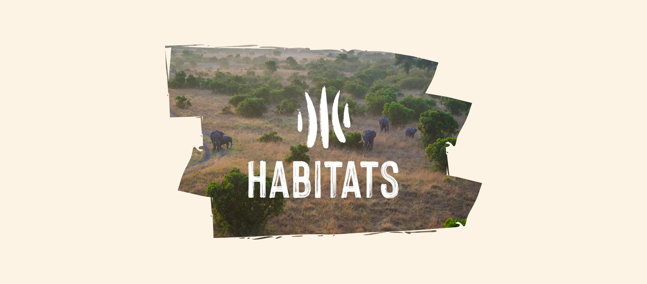 Habitats is a non-profit focused on biodiversity conservation and restoration