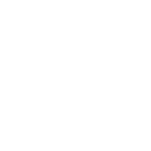 https://queststudio.be/wp-content/uploads/2023/11/Noosa-logo-white.png