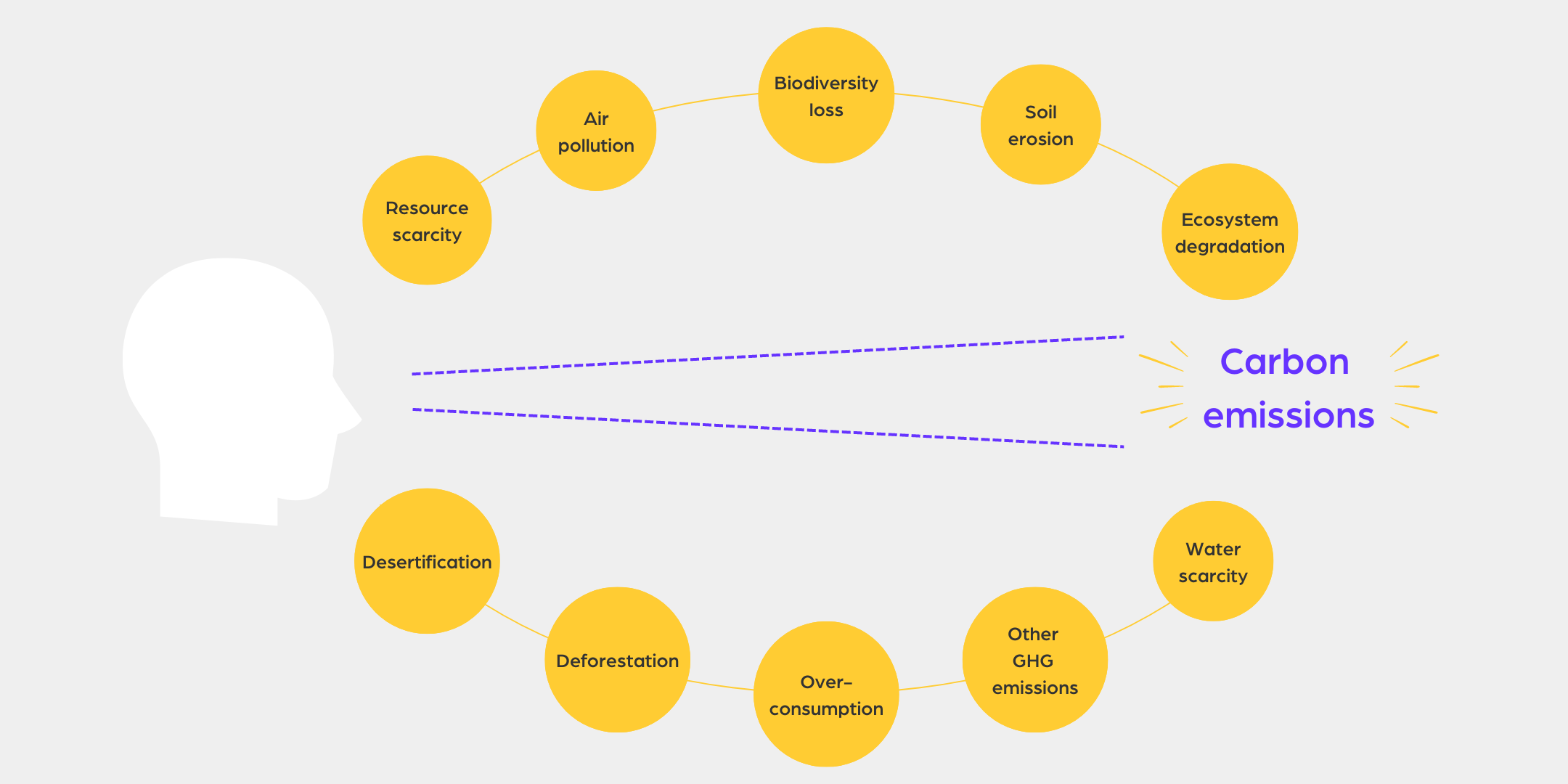 Issues with net zero summed in an infographic