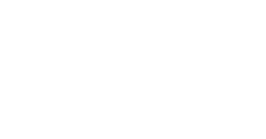 VP Capital logo white