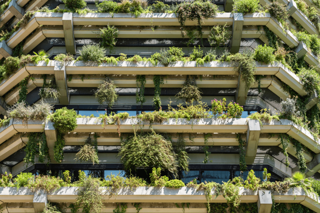 Picture of a building full of plants